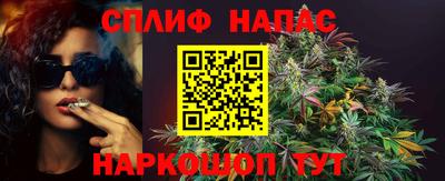 spice Моздок
