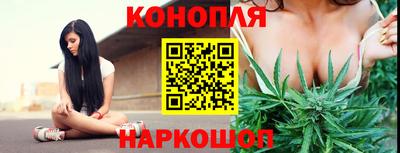 spice Моздок
